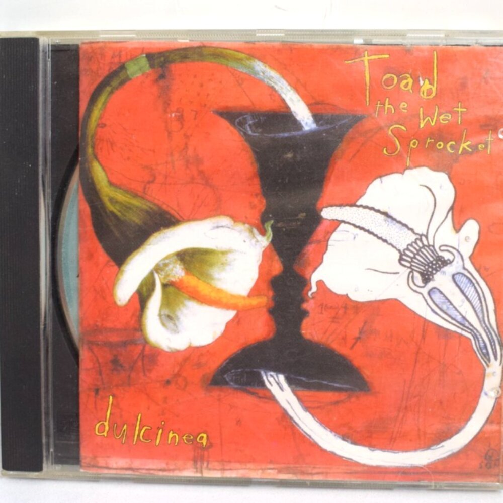 Toad The Wet Sprocket Dulcinea CD 1994!